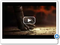 The Cathedral - Tomek Baginski